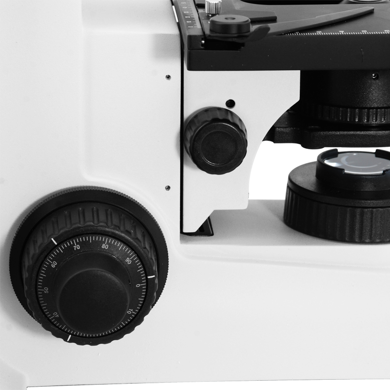 Biological Microscope